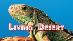 El Desierto Viviente — foto 6