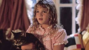 El ojo del gato — foto 9