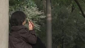 Episodio 46