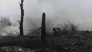 Apocalypse, Verdun — foto 7