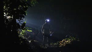 The Dark: Nature's Nighttime World — foto 1