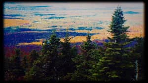 Bigfoot's Bride — foto 2