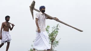 ப பாண்டி — foto 11
