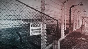 Krieg und Holocaust – Der deutsche Abgrund — foto 7