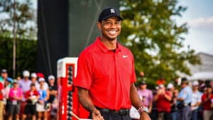 25 Years of Tiger — foto 1