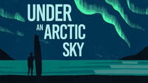 Under an Arctic Sky — foto 3