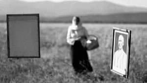 Doina — foto 4