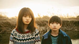 魚座どうし — foto 1