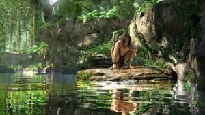 Tarzan — foto 4