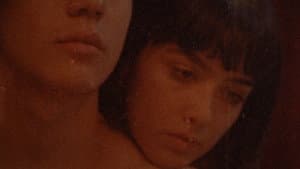 Plástico — foto 2