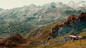 Salvajes, El Cuento Del Lobo — foto 1