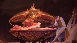 The Sleeping Beauty — foto 1