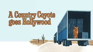 A Country Coyote Goes Hollywood — foto 1
