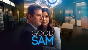 Good Sam — foto 12