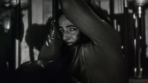 Hombre Lobo por la noche — foto 2