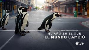 El año que cambió a la Tierra — foto 11