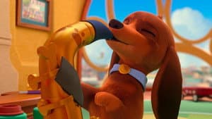 ¡El show debe doxinuar! / Perros trabajando