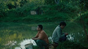Bên Trong Vỏ Kén Vàng — foto 7