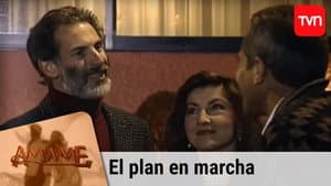 El plan en marcha