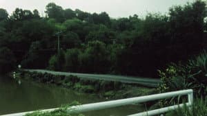 Landscape Suicide — foto 9