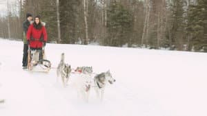 A Great North Christmas — foto 5