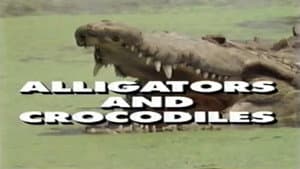 Predators of the Wild: Crocodiles and Alligators — foto 1