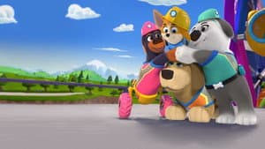 Cachorros a la obra — foto 7