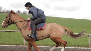 Dark Horse — foto 2