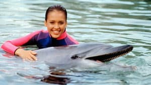 Flipper — foto 2