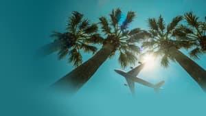 Airport 24/7: Miami — foto 1