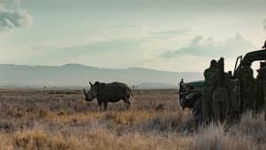 Rhino — foto 8