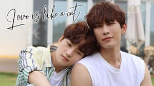 사랑은 고양이처럼 — foto 2