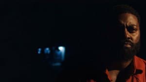 The Fire and the Moth — foto 3