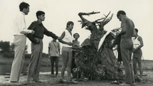 Sodrásban — foto 1