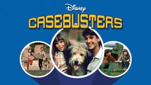 Casebusters — foto 5