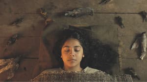 Brujería — foto 1