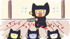 Episodio 81