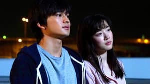 君は月夜に光り輝く — foto 5
