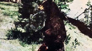 The Last Wilderness — foto 1
