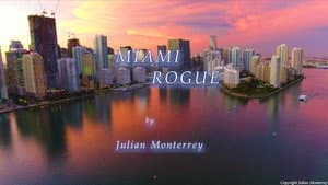 Miami Rogue — foto 1