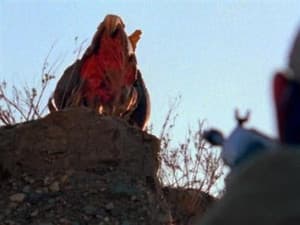 Episodio 3