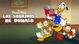 Los sobrinos de Donald — foto 11