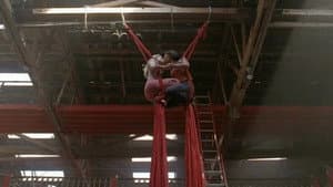 The Gymnast — foto 6