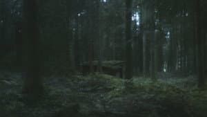 I HAVE NOT BEEN AFRAID OF GOING BLIND FOR A LONG TIME — foto 5