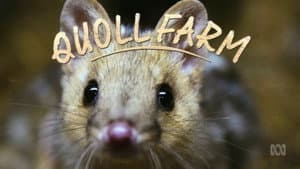 Quoll Farm — foto 2