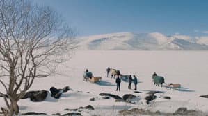 Kar Kırmızı — foto 1