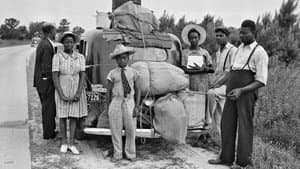 Driving While Black: Race, Space and Mobility in America — foto 11