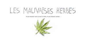 Les mauvaises herbes — foto 1