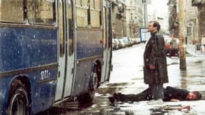 Jött egy busz… — foto 2
