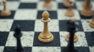 Stranger's Pawn — foto 4